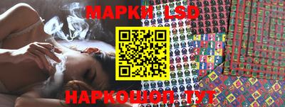 гидропоника Заволжье