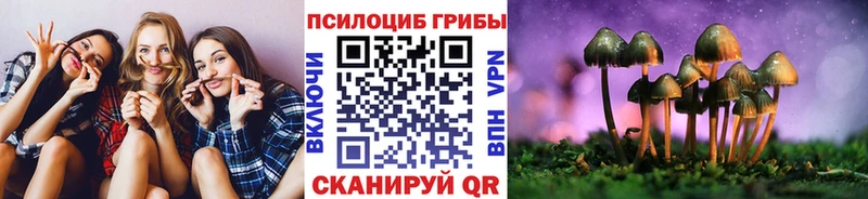 Псилоцибиновые грибы прущие грибы  где купить наркотик  blacksprut рабочий сайт  Отрадное 