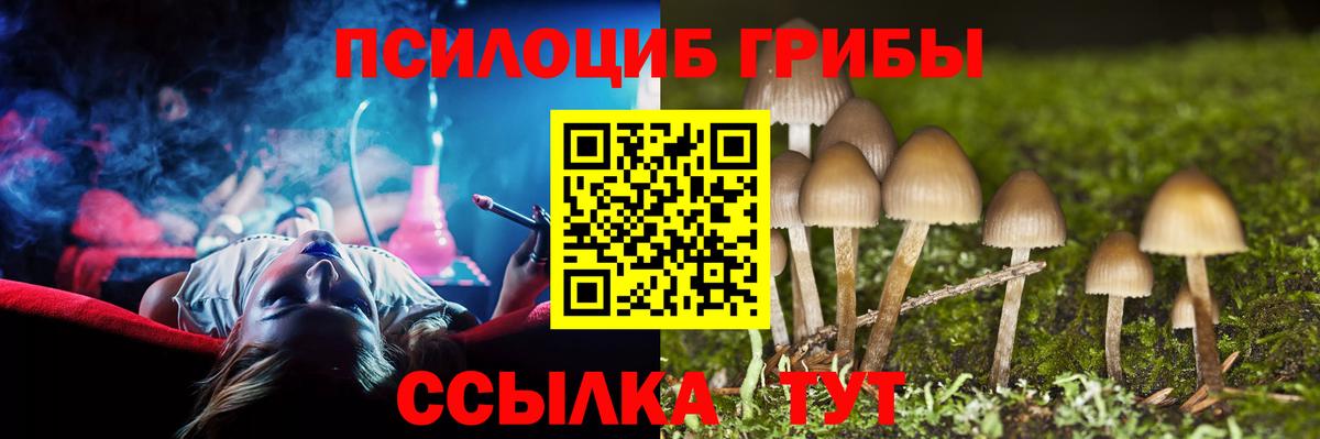 Отрадное  продажа наркотиков  Вход с VPN  Псилоцибиновые грибы Psilocybine cubensis 